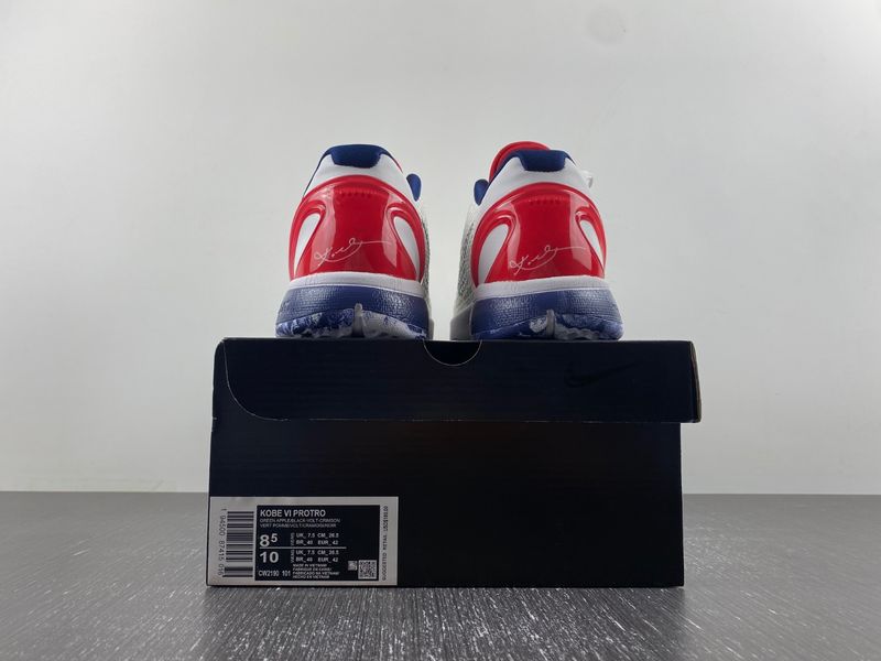 Kobe 6 Protro CW2193-101