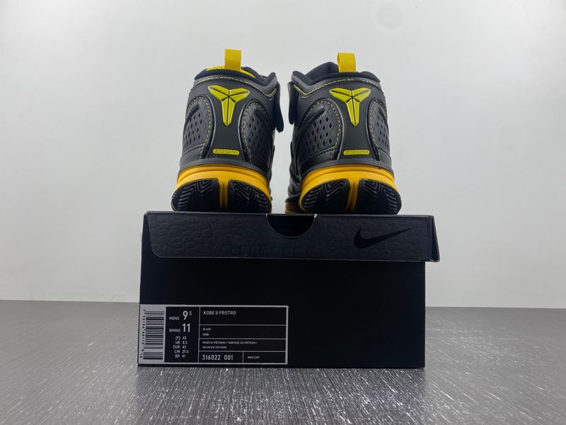 Zoom Kobe 2 Carpe Diem  316022-001