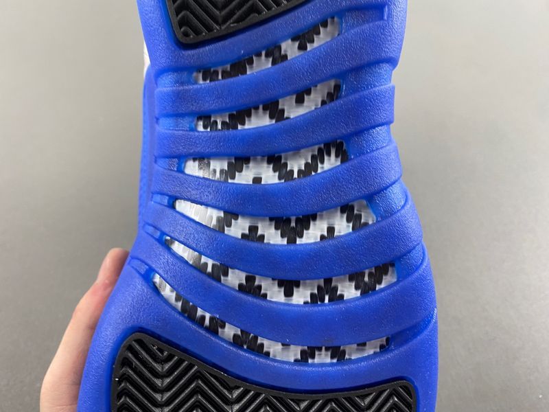 Air Jordan 12 Blue CT8013-116