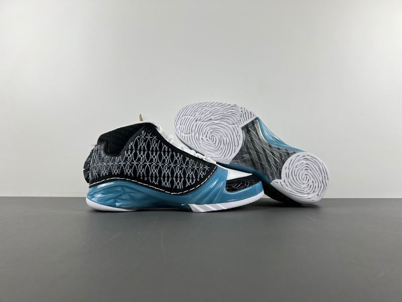 Air Jordan 23 UNC  318376-041