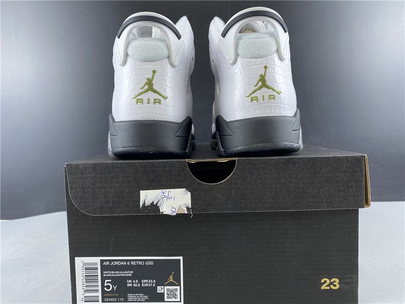 Air Jordan 6 Retro Alligator  384665-110