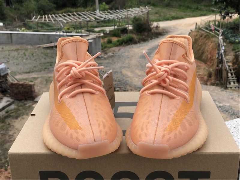 Yeezy Boost 350 V2 GW2870