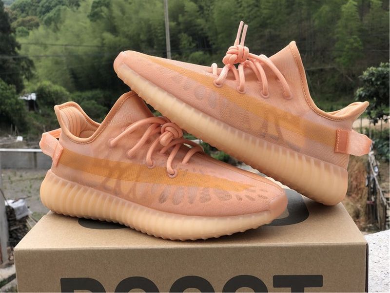 Yeezy Boost 350 V2 GW2870