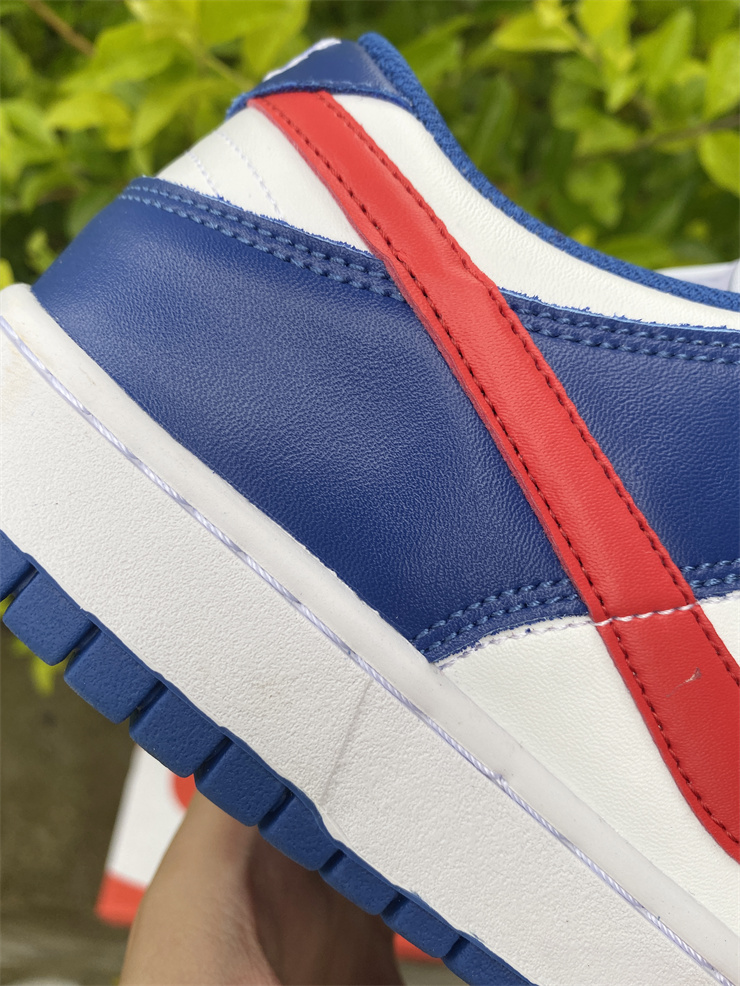 Nike SB Dunk Low GS CW1590-104