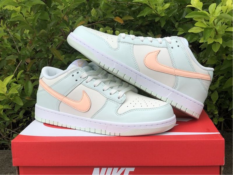 Nike SB Dunk Low DD1503-104