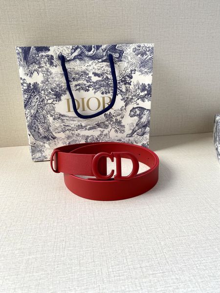 D*ior Top Belts  AT 20230906-109