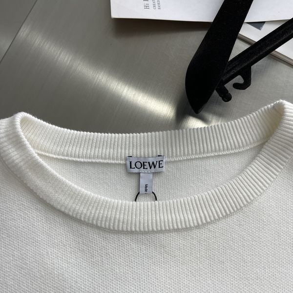 L*oewe Sweatshirt Top Quality AZ 20231027-19