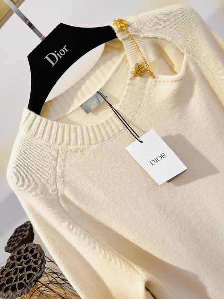 D*ior Hoodie Top Quality D17 20231031-2