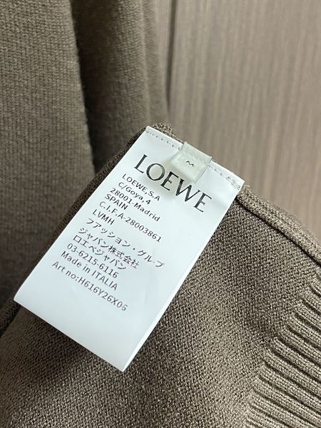 L*oewe Sweatshirt Top Quality D17 20231102-37
