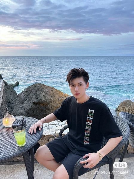 D*ior T-shirt Top Quality D17 20240401-17