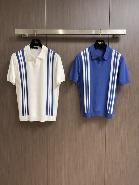 Z*egna POLO Top Quality D17 20240405-33