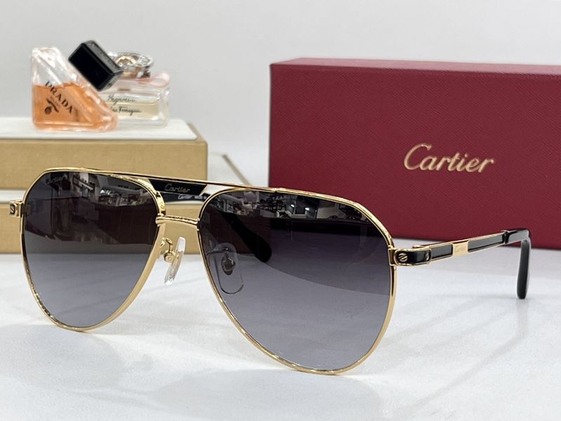 C*artier  Glasses Top XX 20240416-6