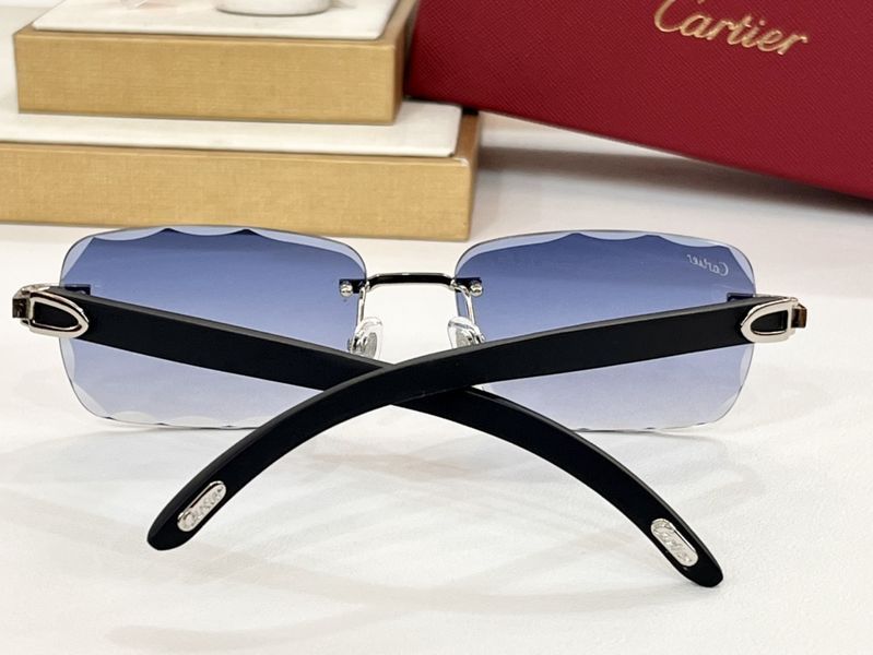 C*artier  Glasses Top XX 20240416-11