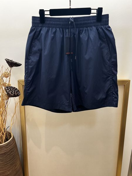 L*ouis V*uitton  Pants  Top Quality D17 20240417-21