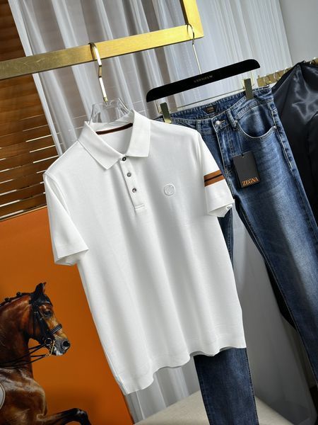 Z*egna T-shirt Top Quality D17 20240425-29