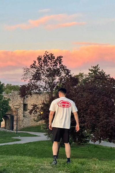 L*ouis V*uitton  T-shirt  Top Quality D17 20240514-17