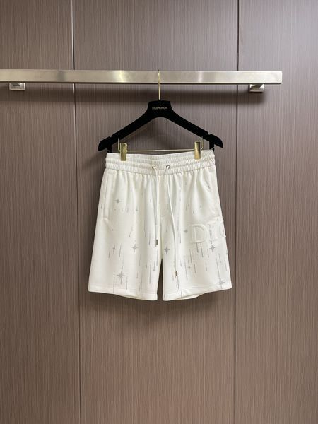 D*ior Pants Top Quality D17 20240521-18