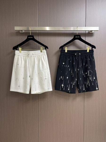 D*ior Pants Top Quality D17 20240521-18