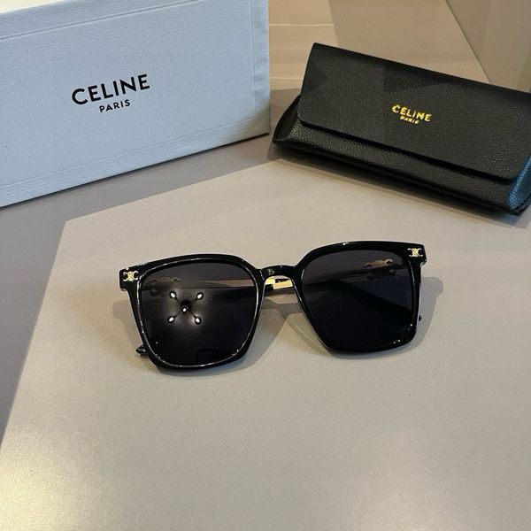 C*ELINE Glasses Top XX 20240721-71