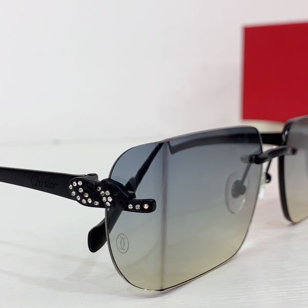 C*artie Glasses Top XX 20240718-79