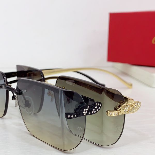 C*artie Glasses Top XX 20240718-79