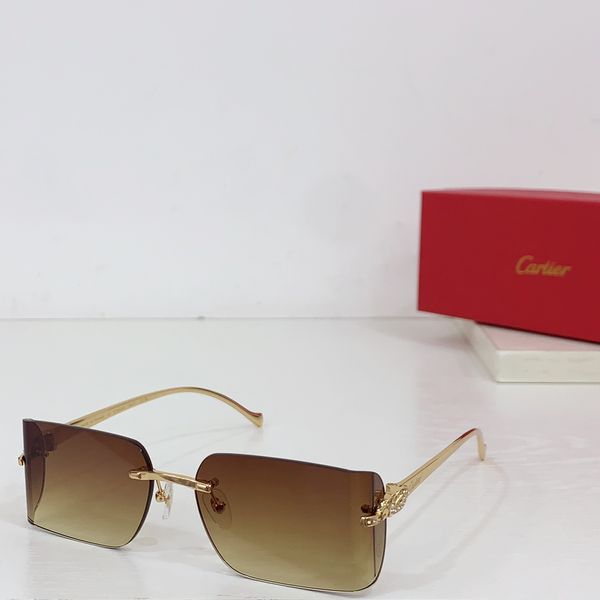 C*artie Glasses Top XX 20240718-79