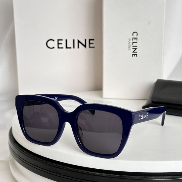 C*ELINE  Glasses Top XX 202400802-9