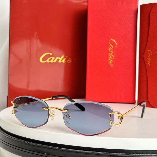 C*artie Glasses Top XX 20240802-20