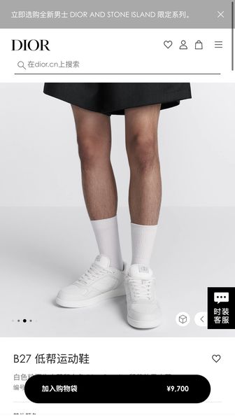 D*ior Top  Sneaker Low RR 20240815-5