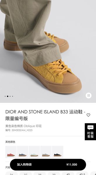 D*ior Top  Sneaker Low RR 20240815-21