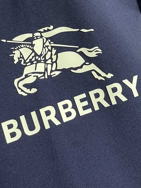 B*URBERRY Suit Top Quality D17 20240821-13