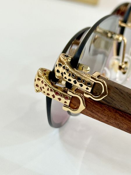 C*artie Glasses Top XX 20250401-3