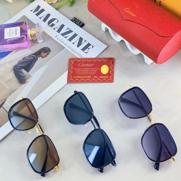 C*artie Glasses Top XX 20250402-81