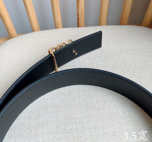 L*oewe Belts  XX 20250403-11