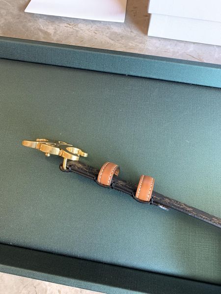 C* eline Top Belts  AT 20250403-21