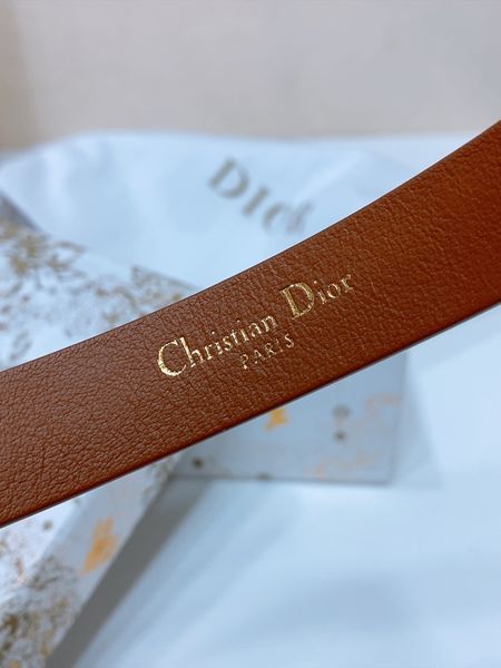 D*ior Top Belts  AT 20250403-71