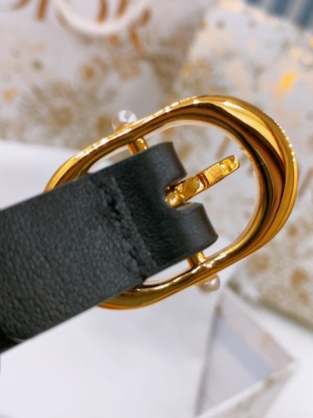 D*ior Top Belts  AT 20250407-8