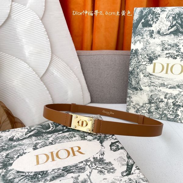 D*ior Top Belts  AT 20250407-79
