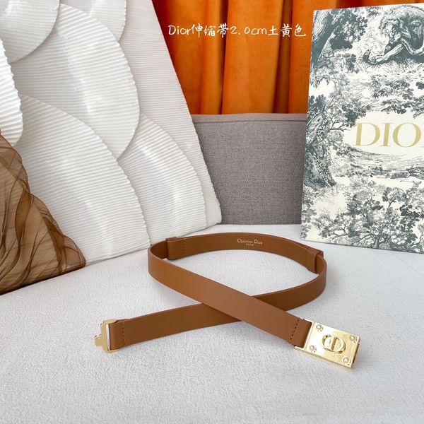 D*ior Top Belts  AT 20250407-79