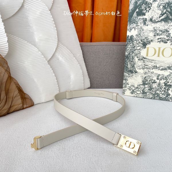 D*ior Top Belts  AT 20250407-79