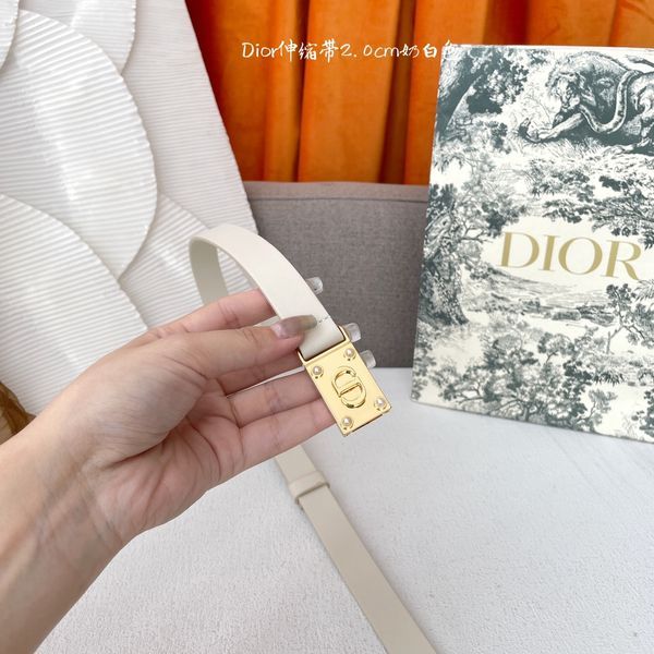 D*ior Top Belts  AT 20250407-79