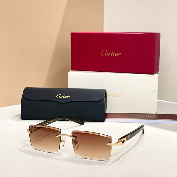 C*artie Glasses Top XX 20250414-1