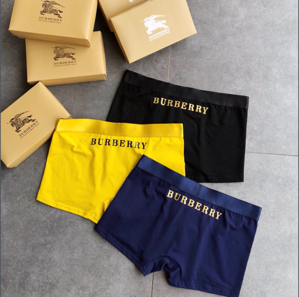 Underpants Top 3 Pieces