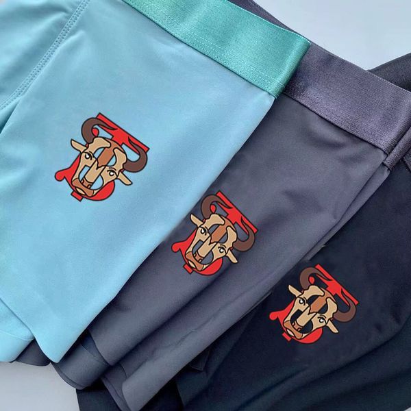 Underpants Top 3 Pieces