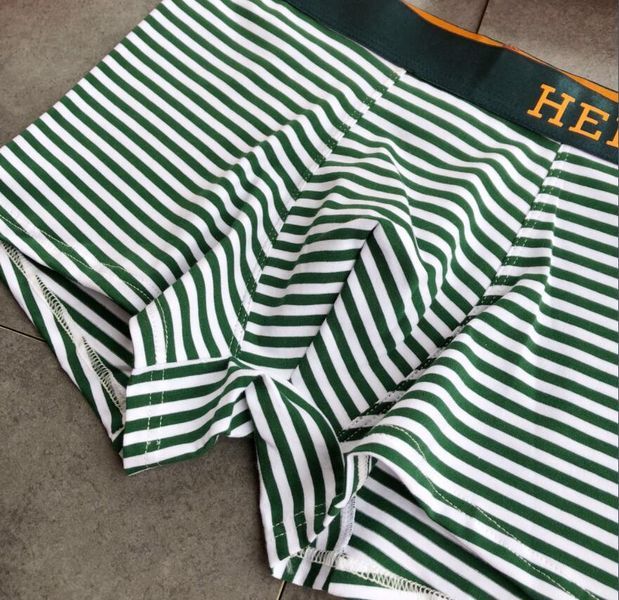 Underpants Top 3 Pieces