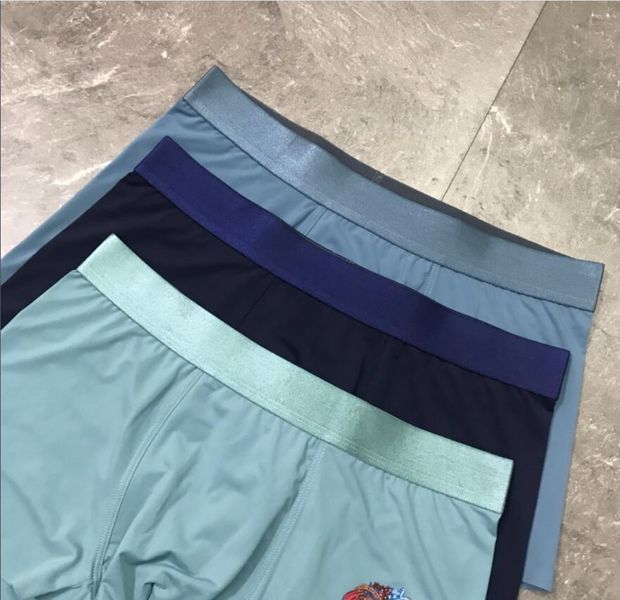 Underpants Top 3 Pieces