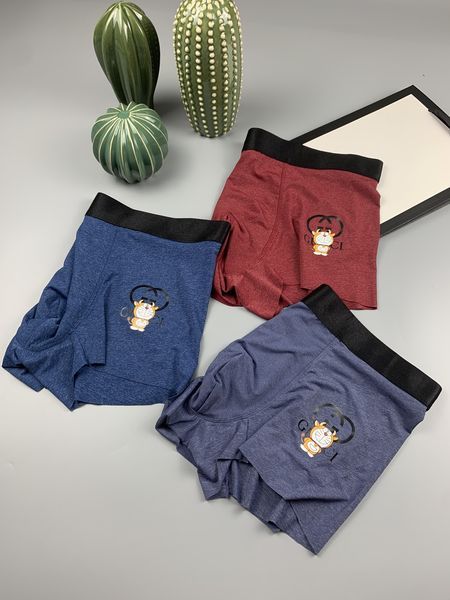 Underpants Top 3 Pieces