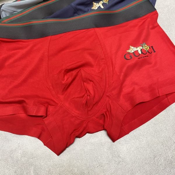 Underpants Top 3 Pieces