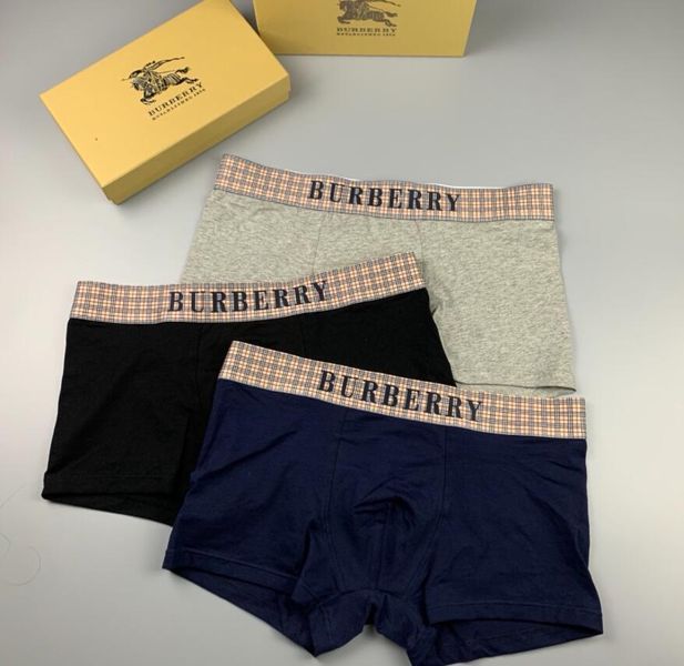 Underpants Top 3 Pieces