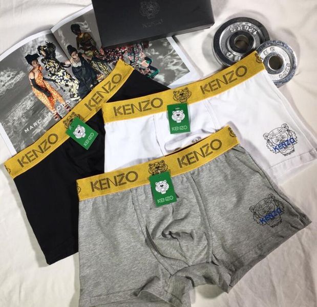 Underpants Top 3 Pieces